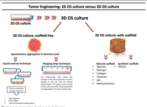Fig. 1 Schematic representation of techniques for 3D OS cultures