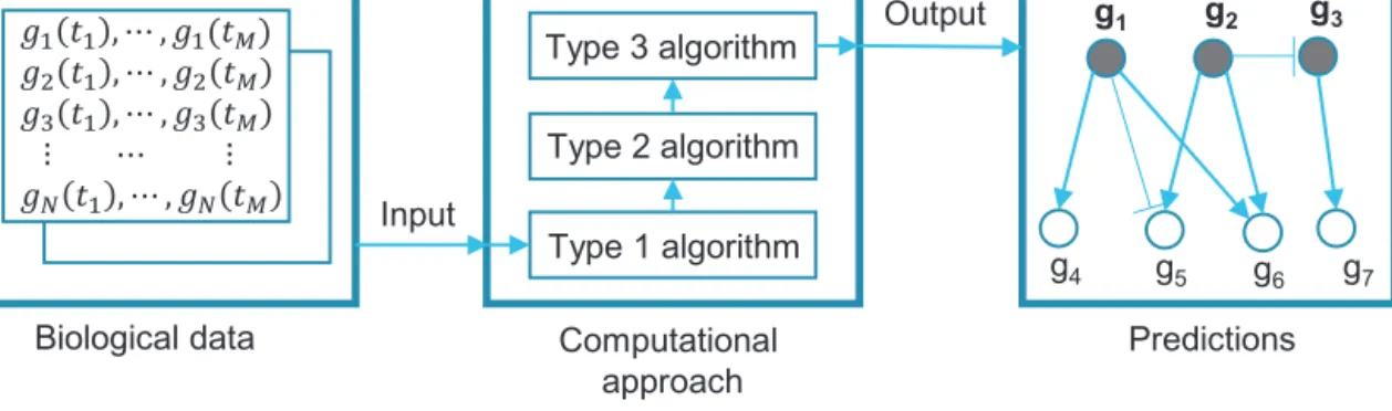 Fig. 1. Conceptual view of the information ﬂow in a computational approach. Biological data is used to identify genes of interest (Type 1 algorithm), infer connections between these genes (Type 2 algorithm), and predict types of these connections (Type 3 a