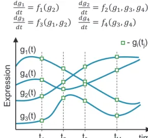 Fig. 3. Type 5 algorithms output in terms of the system of ODEs and predicted gene expression dynamics (g i (t)) based on experimental values (g i (t j ))