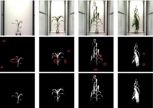 Figure 6 contains four of the original maize images along with the corresponding segmented images obtained from using double-criteria thresholding and the neural network trained on the full NB dataset