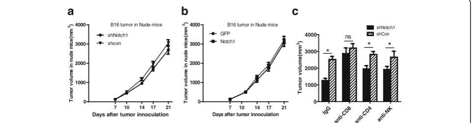Fig. 2 Notch1 function in tumor growth depended on the immune system. a Tumor growth curve of shNotch1 and shCon cells in BALB/c Nudemice