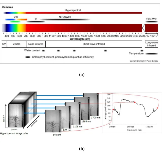 Figure 1.1 (a) The electromagnetic spectrum and imaging modules (Source: 