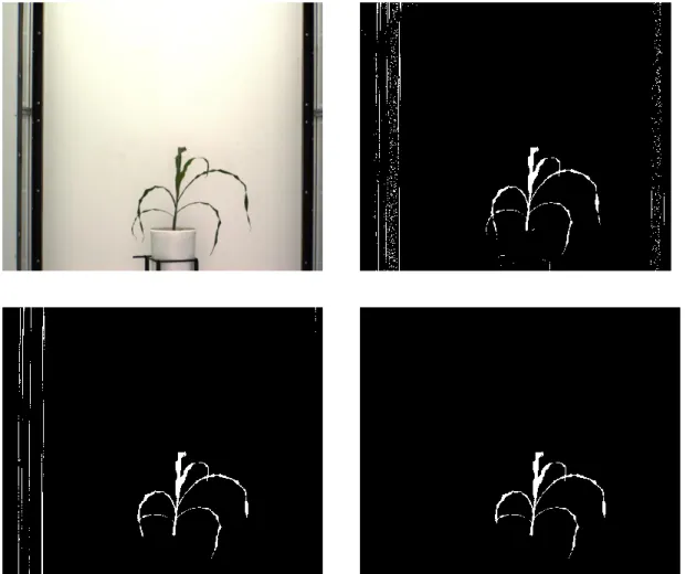 Figure 2.1 The sequential steps in segmentation of plant pixels from the 