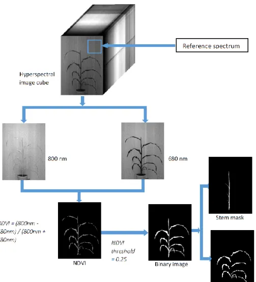 Figure 2.3. Flowchart showing the steps in hyperspectral image segmentation 