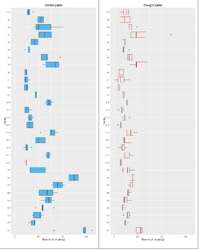 Figure 3.2. Boxplots demonstrating the distribution of fresh shoot weights in the  drought stressed and control groups for each genotype in the experiment 