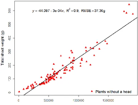 Figure 3.4. Correlation between total shoot fresh weight and the sum of area  occupied by plant pixels for plants before head emergence 