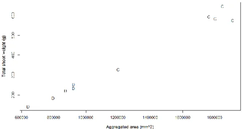 Figure 3.4 shows the correlation between shoot fresh weight and total area for the plants  harvested before emergence of a head