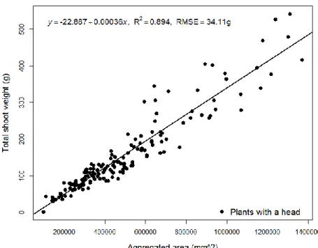Figure 3.6. Correlation between total shoot fresh weight and the sum of area  occupied by plant pixels for plants with emerged head during sampling 