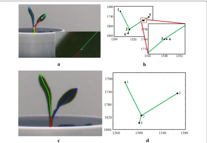 Fig. 5  Illustration of spur removal process: a Spurious branch giving rise to a false node in the leaf; b visualization of Spur in the graphical  representation of the plant; c, d Spur removal based on threshold based skeleton pruning in the original plan