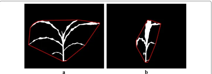 Fig. 3  Illustration of segmentation process: a background image; b original image; c foreground obtained after applying frame differencing  technique; d foreground obtained by green pixel superimposition; e foreground containing green pixels characterizin