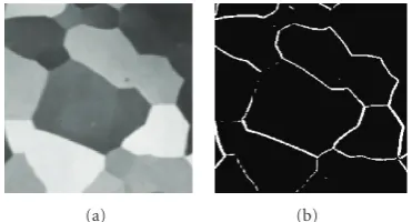 Figure 4: “alumgrns” image. (a) Original image. (b) White pointswith G(x, y) > Tg.