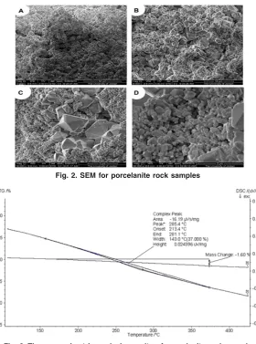 Fig. 2. SEM for porcelanite rock samples