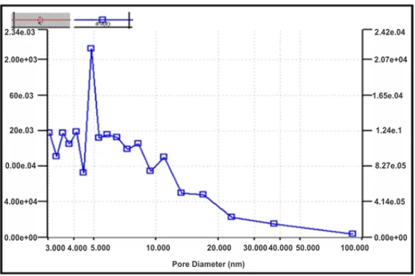 Fig. 5. Specific surface area measurements relationship between thepore diameters in (nm) and cumulative pore volume and P/P