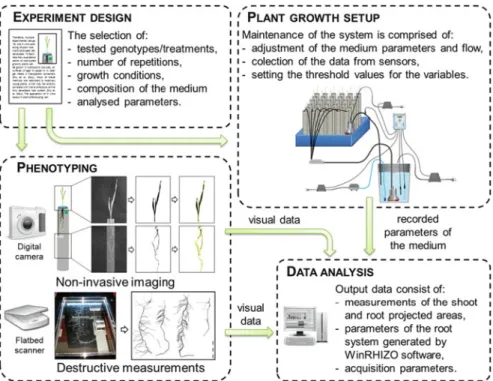 Fig. 10.1 The overview of the pipeline for the preparation of phenotyping experiments