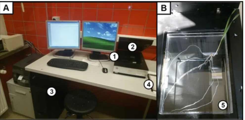 Fig. 10.3 Imaging setup for root analysis. The PC (a) is connected to the scanner (b) with a TPU lighting system