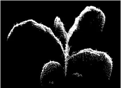 Figure 9. (a)  The 3D model’s achievement without sparse point noise clearance and (b)  the 3D model’s achievement with sparse noise clearance 