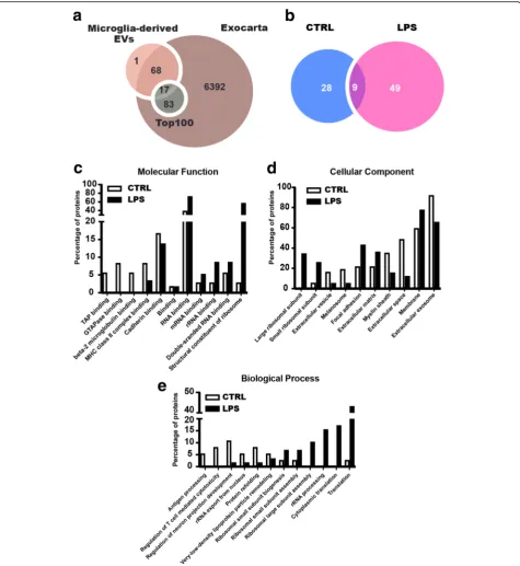 Fig. 5 Bioinformatic analysis of the identified proteins in BV2 microglia-derived extracellular vesicles