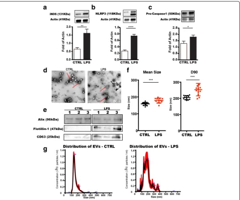 Fig. 1 Characterization of microglia-derived extracellular vesicles. Microglia (BV2) were activated by treatment with LPS for 12 h before25 times more than control to obtain similar concentration of EVs to demonstrate size distribution