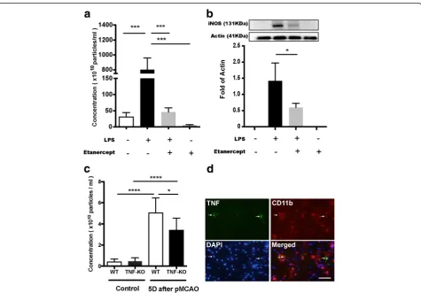 Fig. 3 Reduction in the number of microglia-derived extracellular vesicles by inhibition of TNF signaling pathway