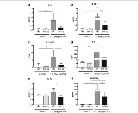 Fig. 4 Systemic inflammation in mice after focal cerebral ischemia. The levels of cytokines in serum were analyzed by multiplex ELISA from WTANOVA followed by TukeypMCAO.and TNF-KO mice without manipulation and 1 day after focal cerebral ischemia