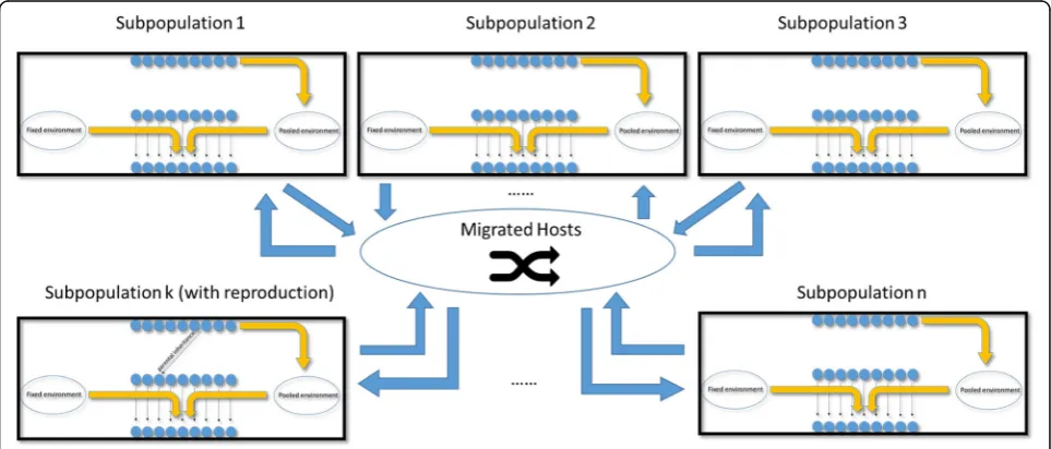 Fig. 2 Population division and host migrations. Each black rectangle represents one host subpopulation