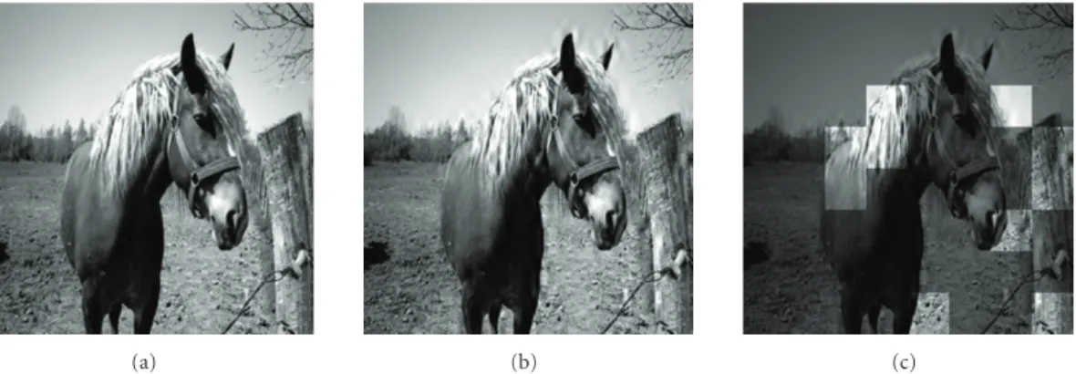 Figure 1: (a) Original 256 × 256 image horse. (b) Distorted version of horse containing wavelet subband quantization distortions created via the following: (1) performing a three-level discrete wavelet transform of the original image using the 9/7 biorthog
