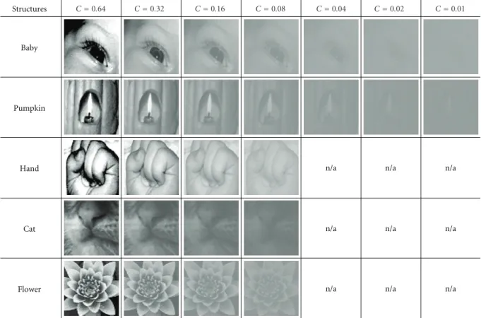 Figure 4: Contrast-adjusted versions of the structures used in the experiment. Note that only two images were tested in the very-low-contrast regime (RMS contrasts of 0.01, 0.02, and 0.04).