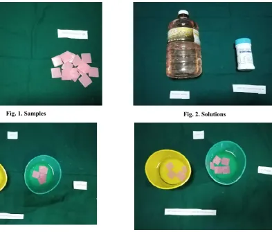 Fig. 1. Samples 