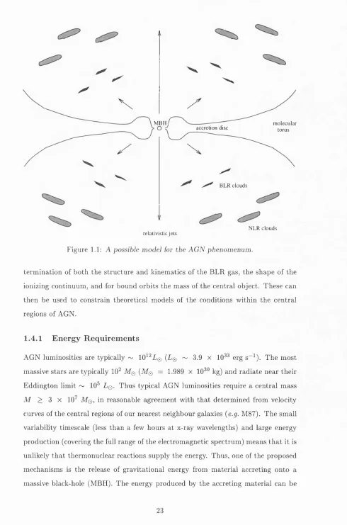 Figure 1.1: A possible model for the AGN phenomenum.