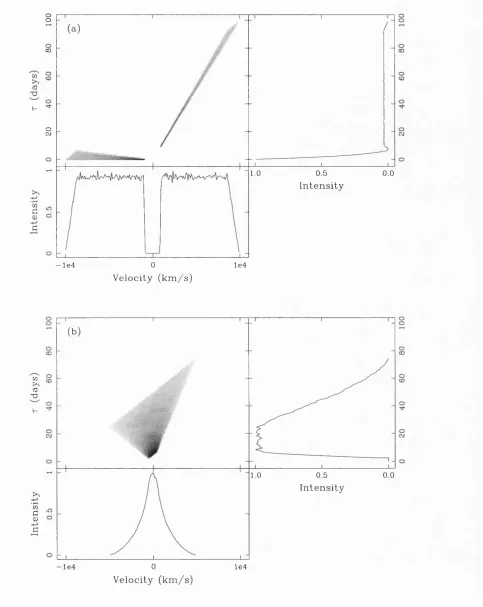 Figure 2.19: Model ^(u, r),^(?;), and ^ (r) for a bi-conical BLR, with inner radiusRin = 5 light-days, outer radius Rout = 50 light-days, emission line ûux distribution£(r) oc r~^, semi-opening angle u = 30° and line of sight inclination (a) i = 0°, and(b) i = 90°