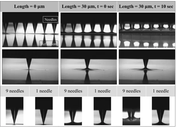 Figure 10. Comparison of DLV between a single microneedle and an array of microneedles