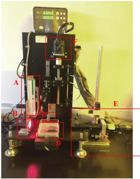 Figure 1. The dip coating apparatus. (A) Optical linear scale. (B) Lighting source. (C) Microneedle loading platform