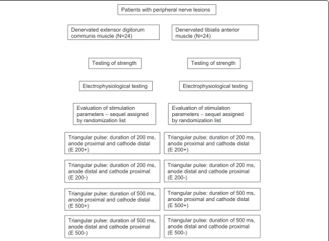 Fig. 1 Procedure of testing and stimulation protocol