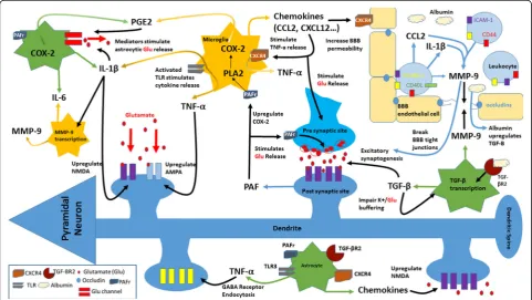 Fig. 1 Sources and targets of unregulated and overlapped components of inflammation in epileptogenesis
