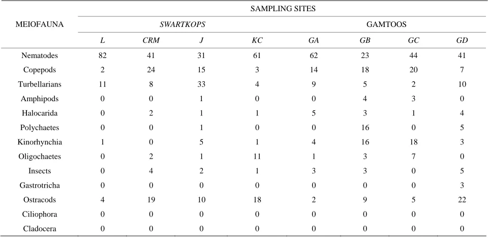 Table 2. Chlorophyll-a values (µg per m2) at the sites in the two river estuaries (May 1997 to March 1998)