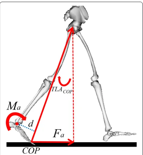 Figure 1 Diagram of variables of interest. Fa was the anteriorcomponent of the ground reaction force