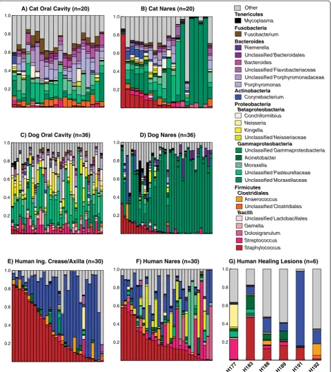 Figure 2 Taxonomic classification of microbiota colonizing pet and human sites of Staphylococcus carriage and lesions