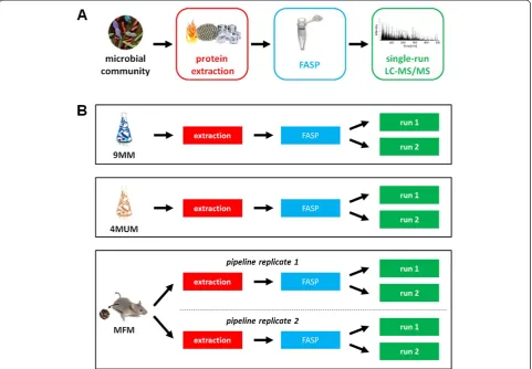 Figure 2 Overview of pipeline steps and study design. (A) Schematic representation of the experimental steps comprised in the pipelinepresented in this study