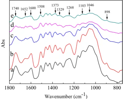 Fig. 6  FTIR spectra of untreated and THM wood samples: untreated, a b CR50, c CR60, d CR70, and e CR75