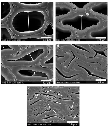 Fig. 5  SEM images (×5000) on transverse surface of untreated and THM wood samples: a untreated, b CR50, c CR60, d CR70, and e CR75