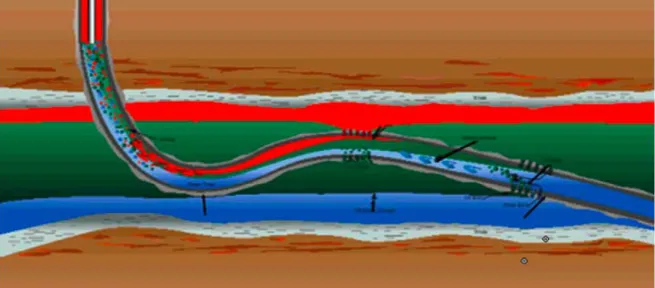 Figure 1. Horizontal well production illustration [2].  