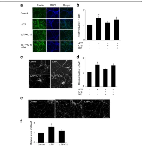 Fig. 6 Neutral sphingomyelinase inhibitor GW4869 attenuated IL-1was normalized by MAP2 staining