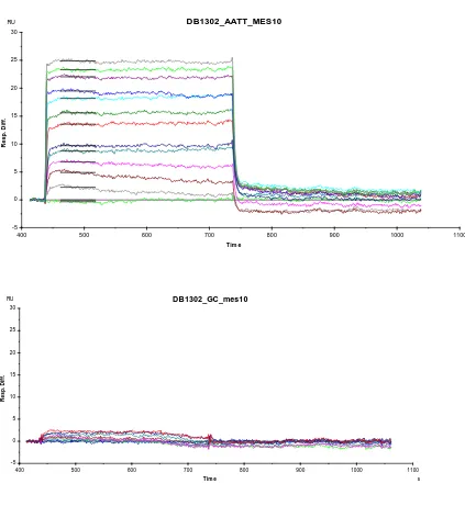 Figure 3.5  SPR sensorgrams for binding of DB1302 to AATT hairpin (top) and GC 
