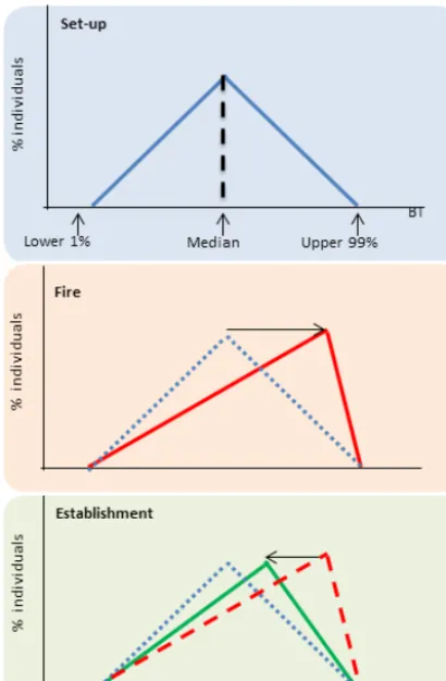 Figure 5. Illustration of the variable bark thickness scheme. Theinitial set-up is based on parameter values (Table 1) obtained from