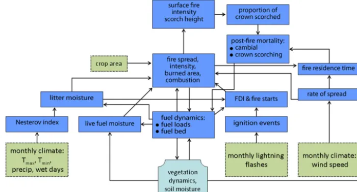 Figure 1. Description of the structure of the ﬁre component of LPX, reproduced from Prentice et al