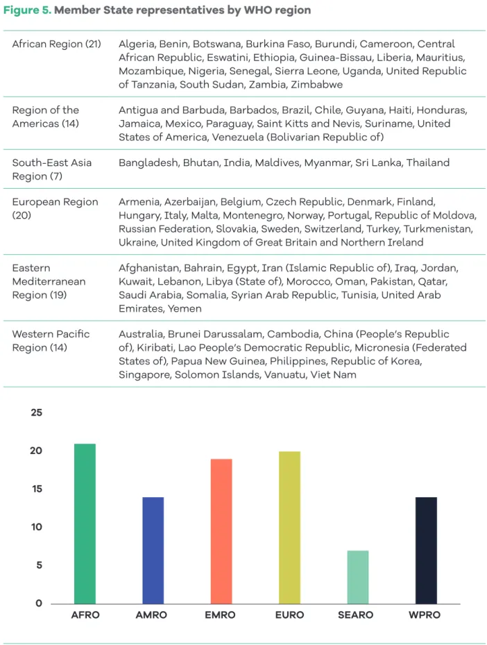 Figure 5. Member State representatives by WHO region