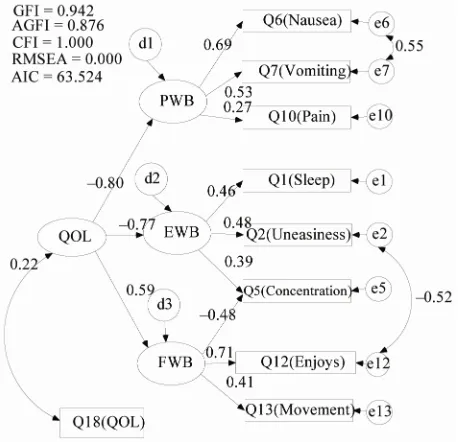 Figure 2. SEM of correlation between HRQOL and sub-jected QOL in patients optimized with the PD matrix EWB, emotional well-being; FWB, functional well-being and PWB, physical well-being
