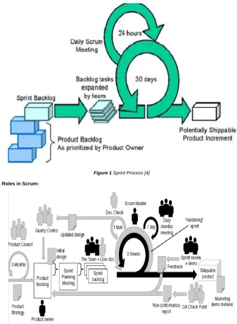 Figure 1 Sprint Process [4]  