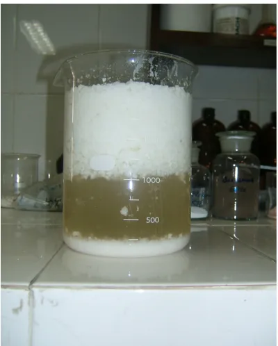 Figure -1: Anodizing Mud (suspension) 