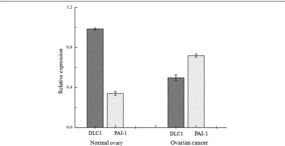 Figure 4 Bar graph of the Western Blotting assay. Each bar represents the relative value of DLC1 and PAI-1 protein, significant differenceswere observed between normal ovary and ovarian carcinoma (P < 0.05).